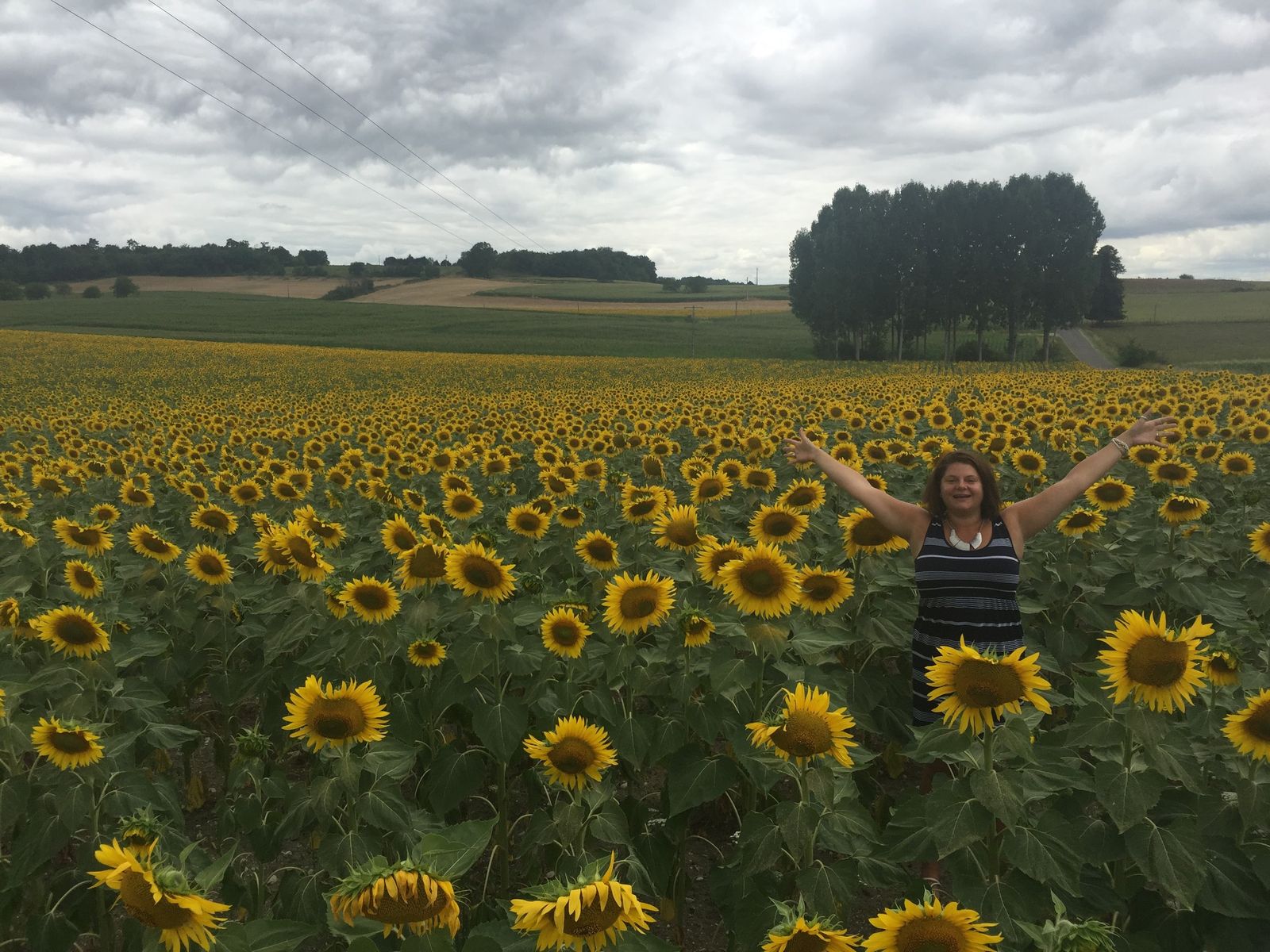 Cassie with arms raised in the middle of a vast field of sunflowers