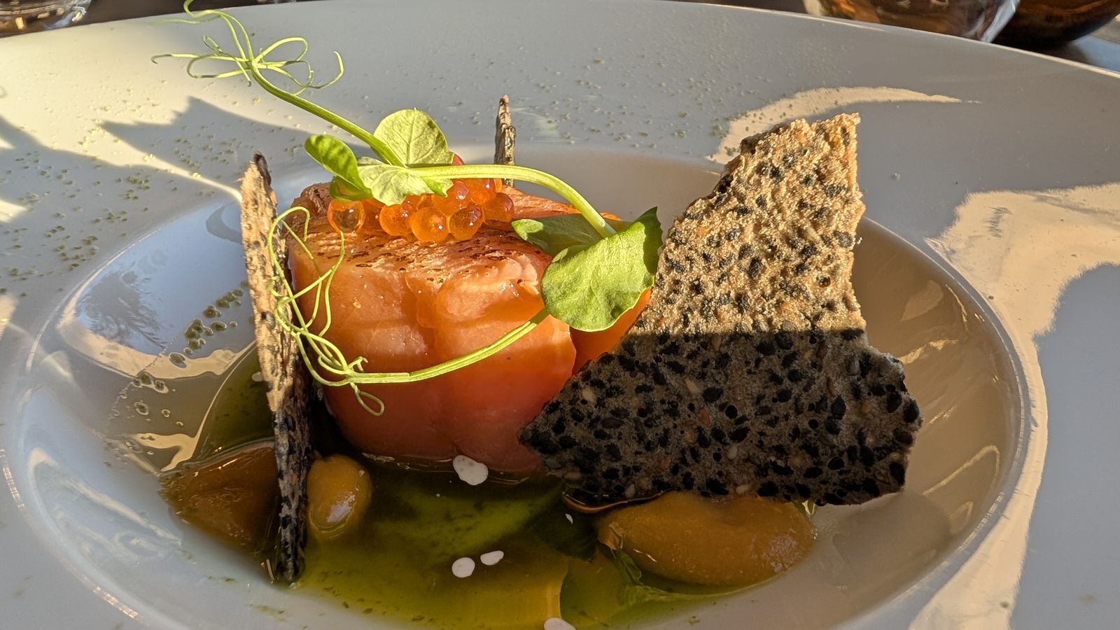 A starter of tomato, smoked salmon and crisp seeded wafers at dinner in Le Port de Domme