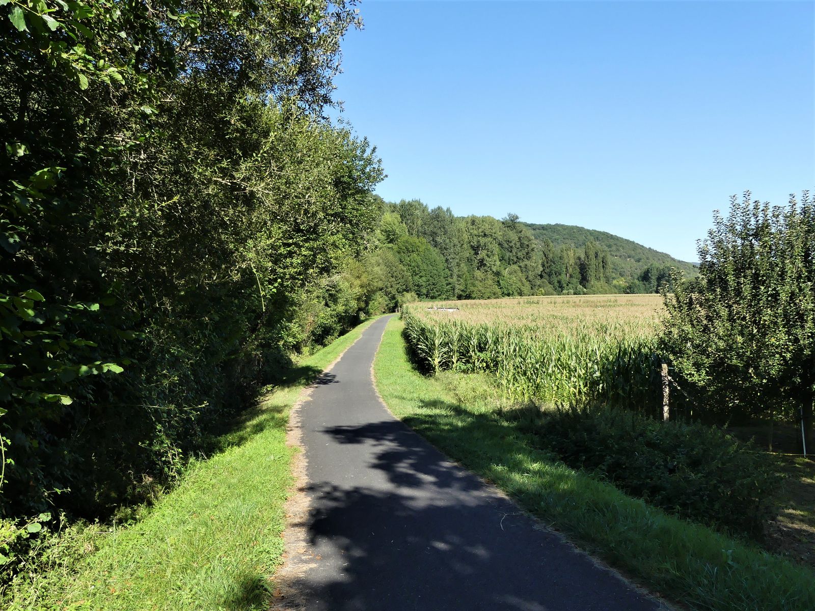 A tarmac cycle path running between trees and fields near Peyrillac