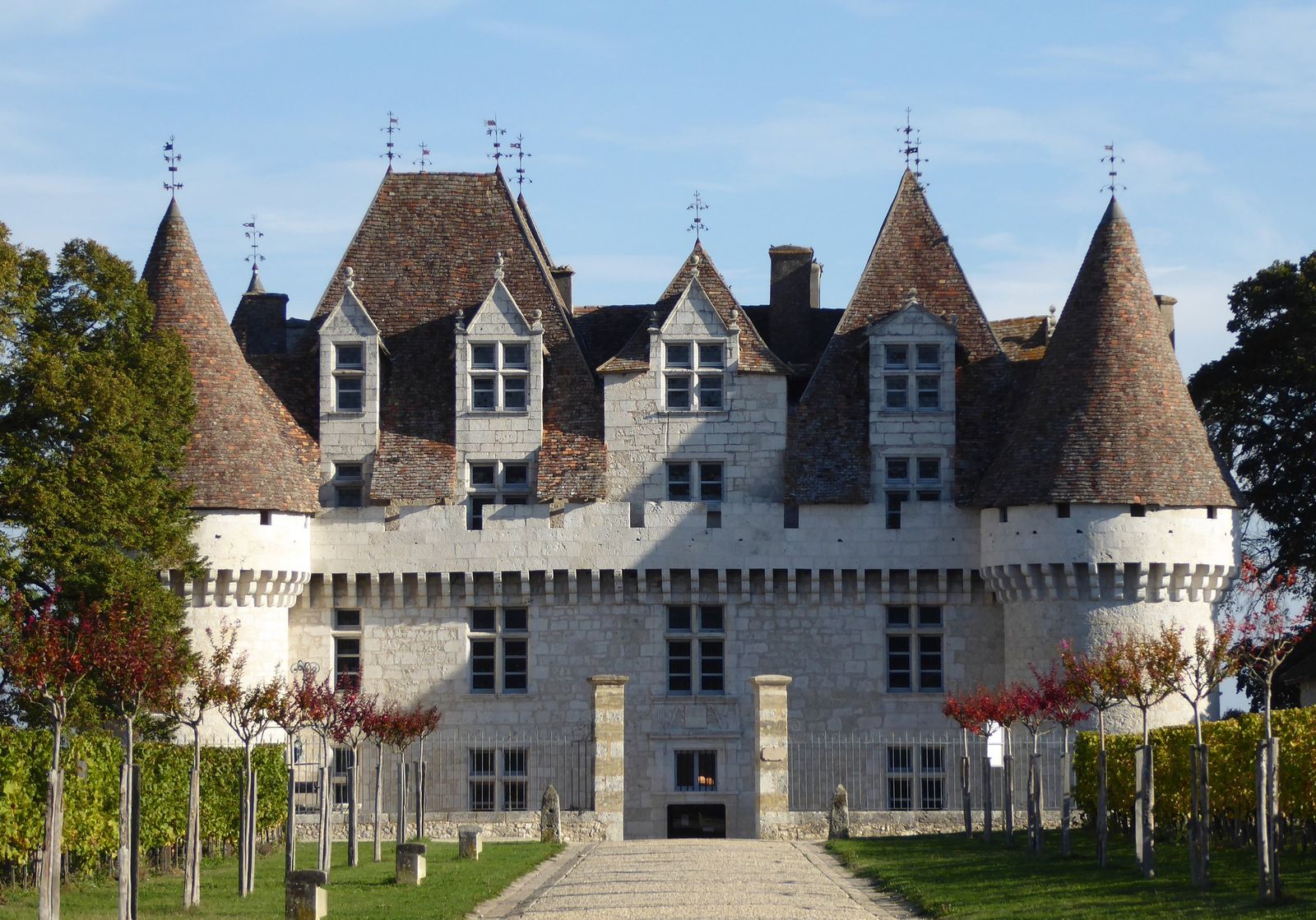 The entrance front of the Château de Monbazillac, with four round corner towers under steep brown-tiled conical roofs and stone dormer windows, a paved drive, young red-leaved trees and rows of autumn vines either side.