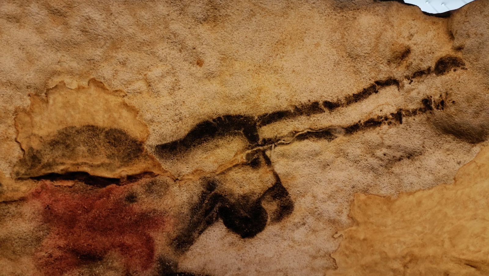 A prehistoric-style painting of a horse in black and red ochre on the rock wall of the Lascaux IV replica