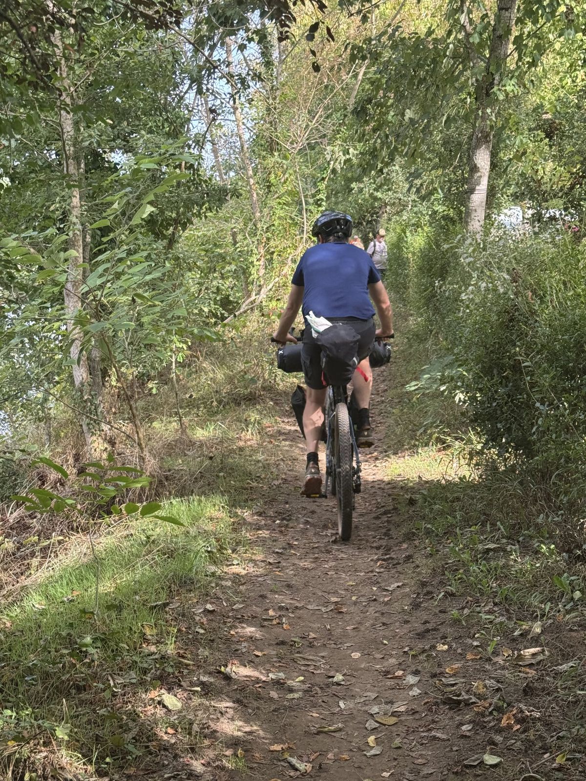 A cyclist in a blue top riding away along a leafy woodland track near Castelnaud