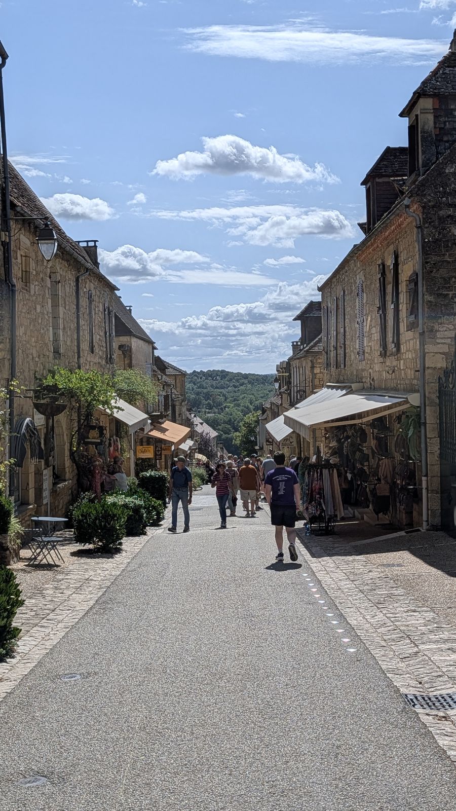 A long street of golden-stone houses and shops in Domme