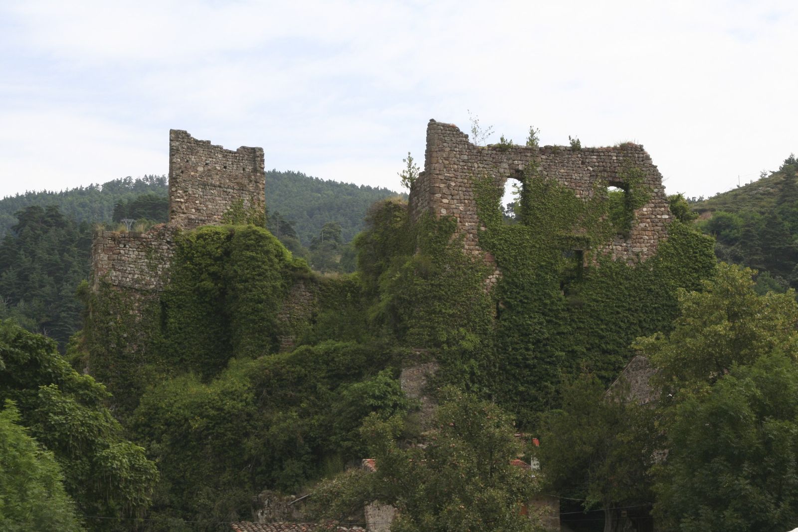 The ivy-clad walls of the Château de Retourtour, Lamastre