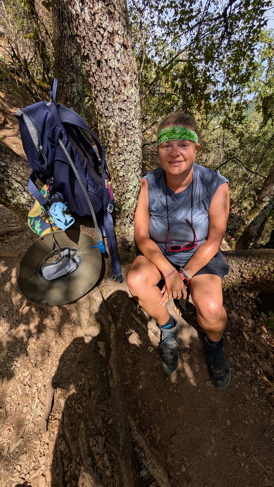 Cassie, taking a breather on a woodland climb