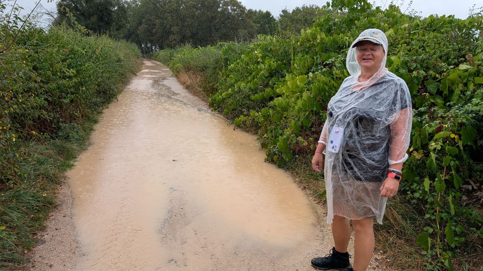 Cassie on a very wet track