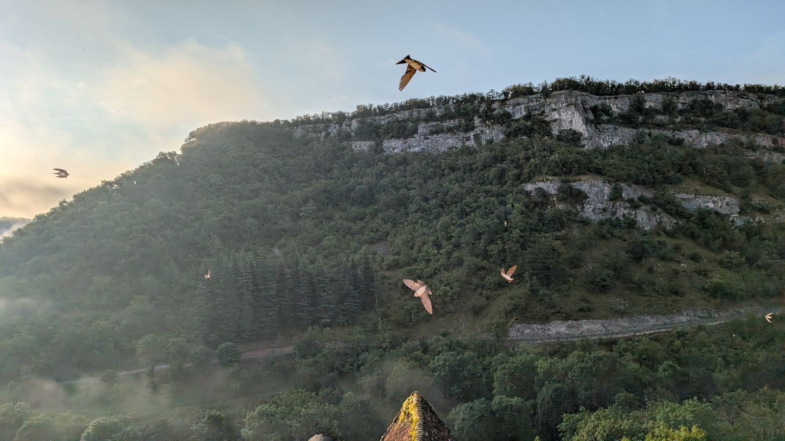 Limestone cliffs and woods above the Alzou canyon in early morning light at Rocamadour