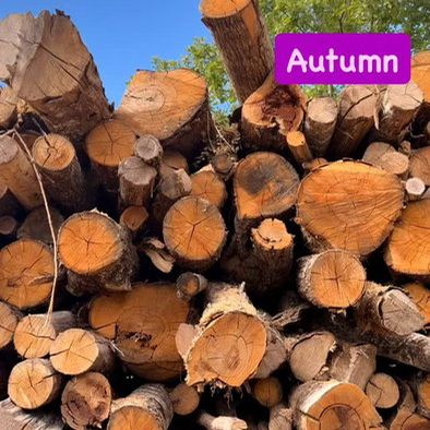 Autumn is arriving in the Dordogne