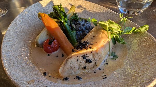 Dinner at Hôtel Le Périgord: fish with spring vegetables