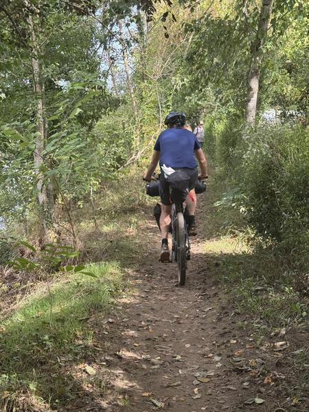 A cyclist in a blue top riding away along a leafy woodland track near Castelnaud