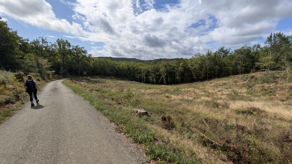A walker on a quiet track near Les Eyzies