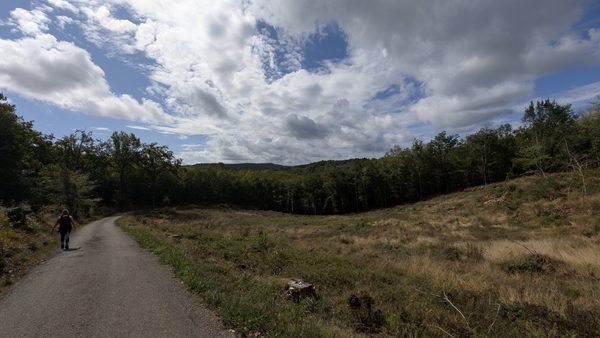 A walker on a quiet track between woods and open grassland near Les Eyzies